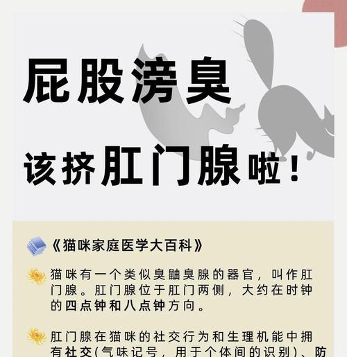 文章详情图片