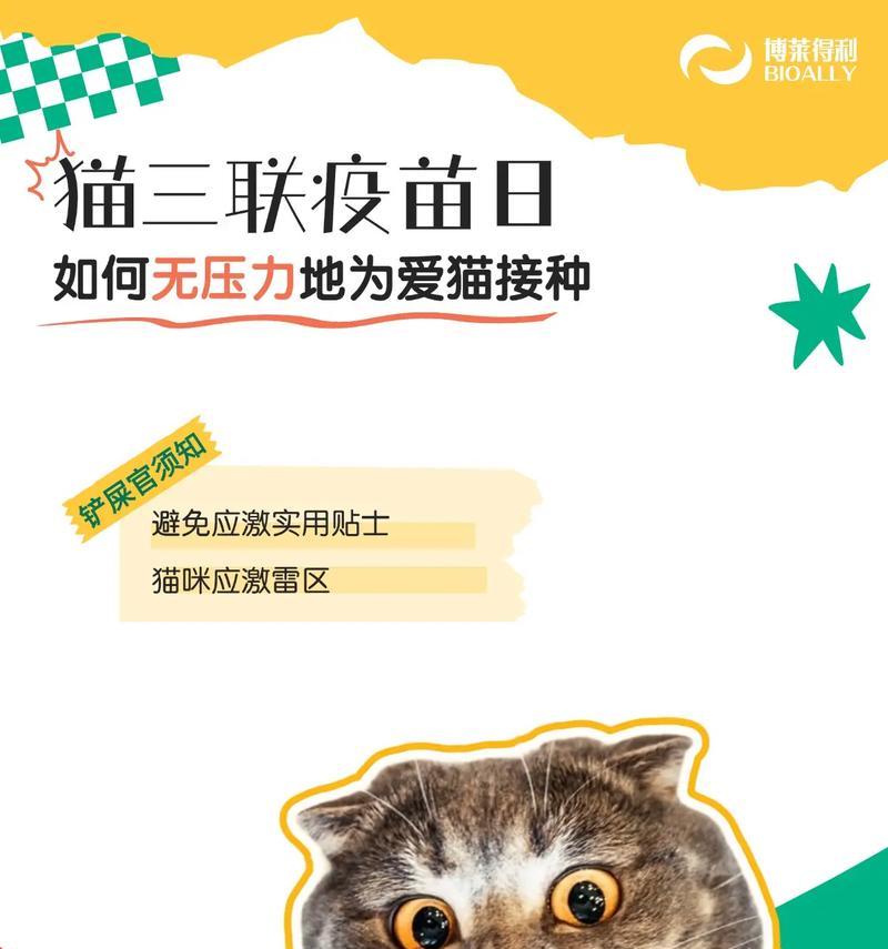 文章详情图片