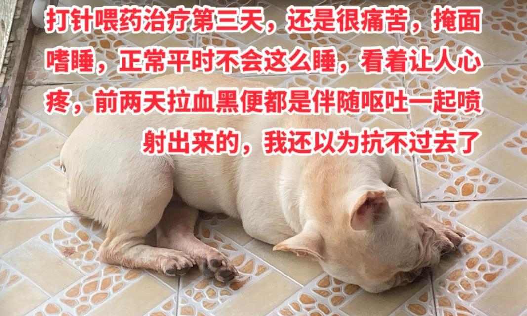 文章详情图片