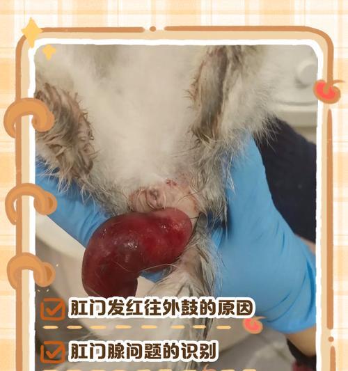 文章详情图片
