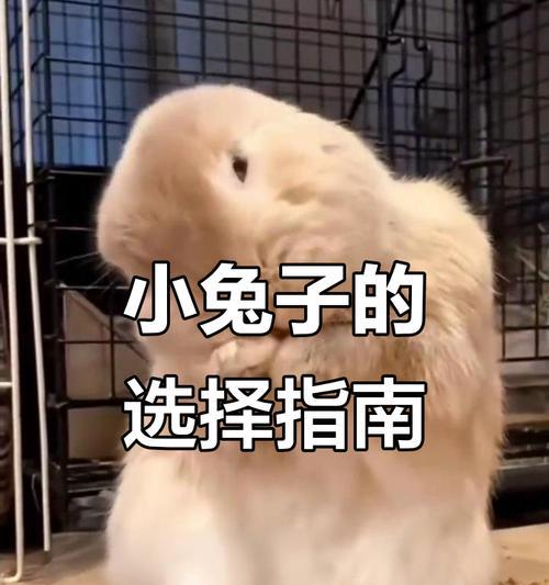 文章详情图片