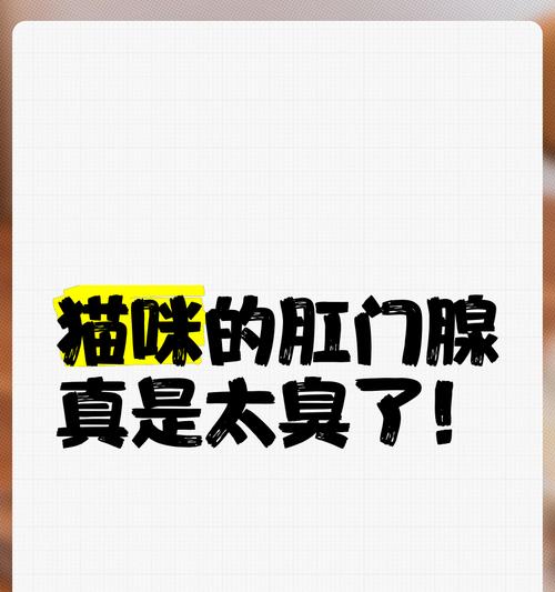 文章详情图片