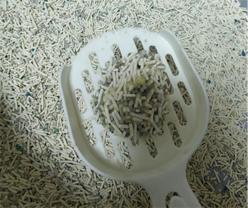 洁客懒人猫砂怎么样