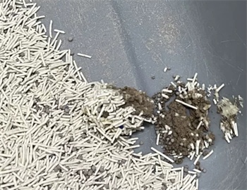 PETSHY猫砂怎么样