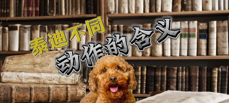 文章详情图片