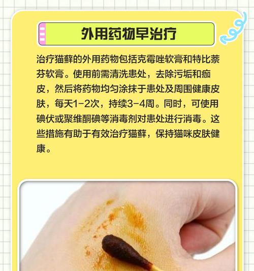 文章详情图片