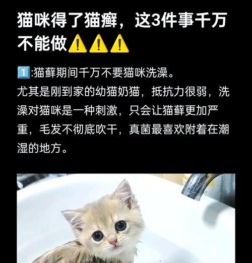 文章详情图片
