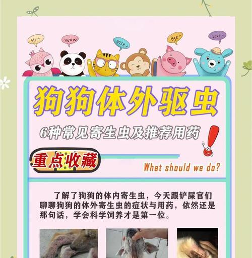 文章详情图片