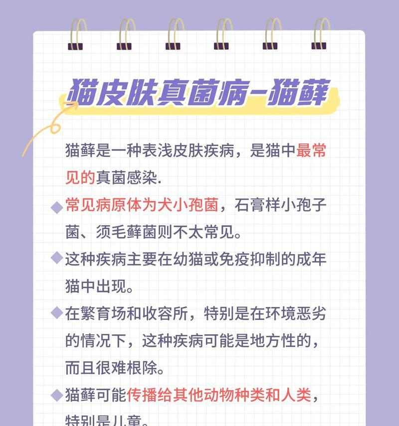 文章详情图片