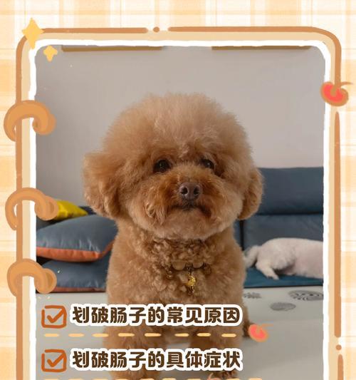 文章详情图片