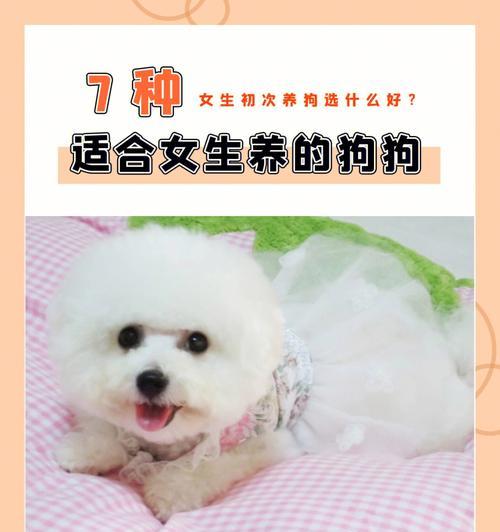 文章详情图片