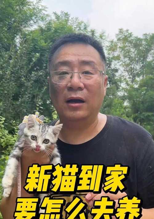 文章详情图片