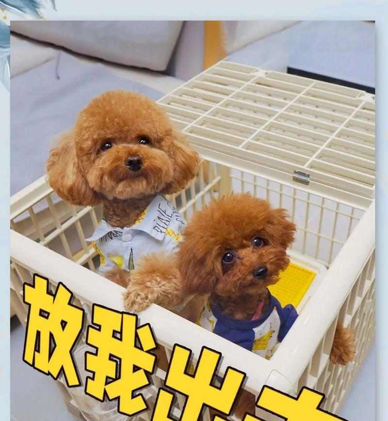 文章详情图片