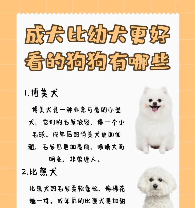 文章详情图片