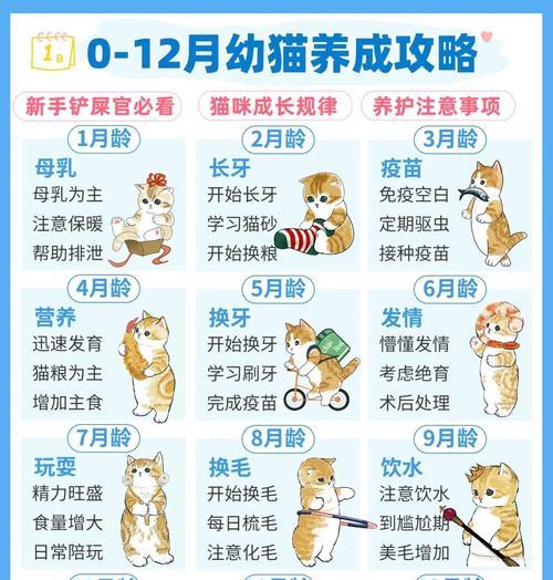 文章详情图片