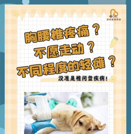 文章详情图片