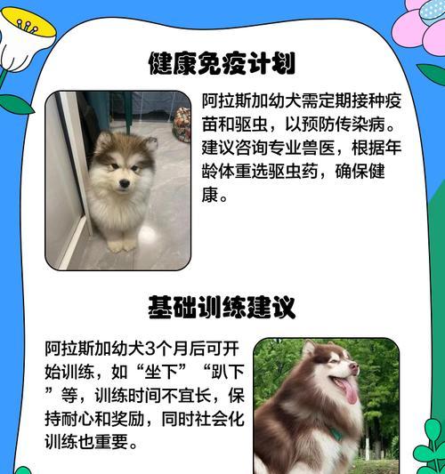 文章详情图片