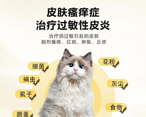 文章详情图片