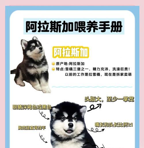 文章详情图片
