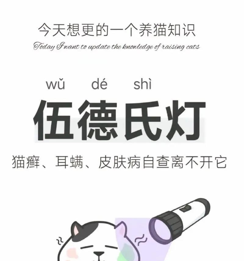 文章详情图片