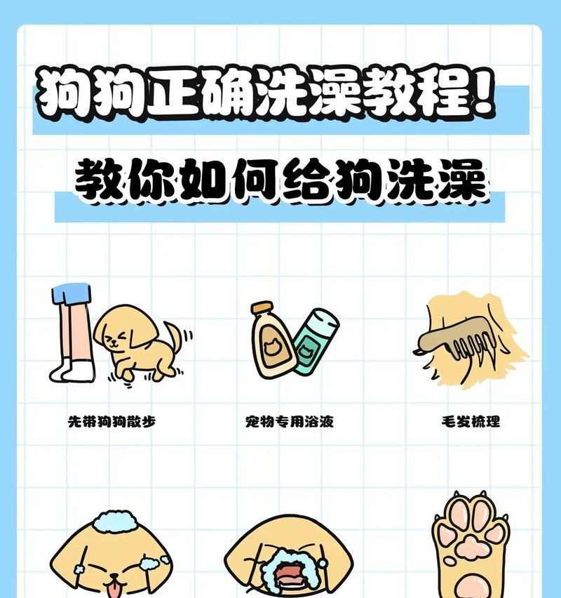 文章详情图片