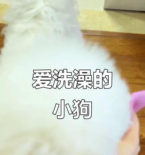 文章详情图片