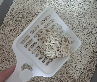 喵梵思猫砂结团怎么样