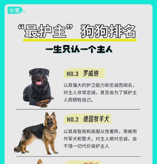 文章详情图片