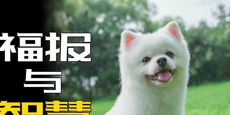 文章详情图片