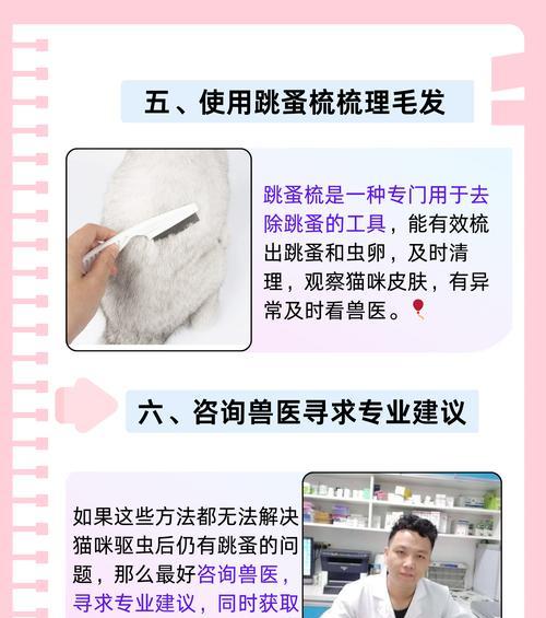 文章详情图片