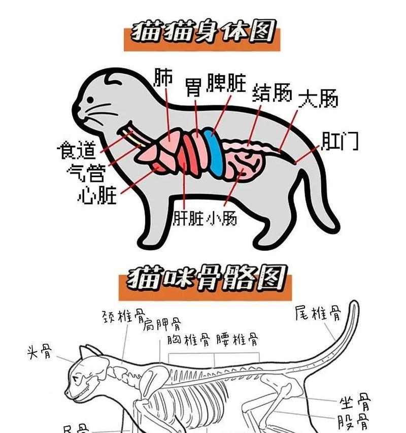 文章详情图片