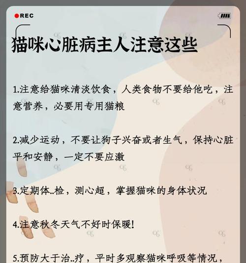 文章详情图片