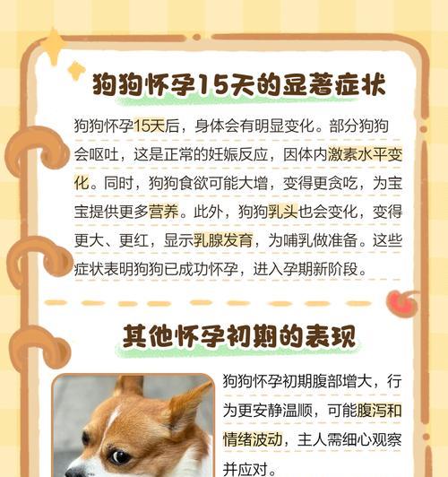 文章详情图片