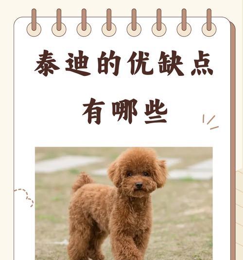 文章详情图片