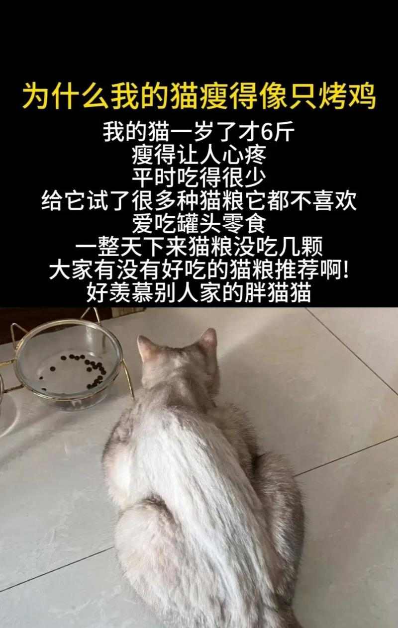 文章详情图片