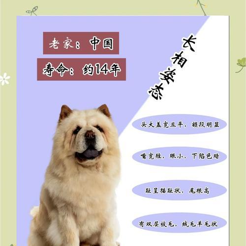 文章详情图片