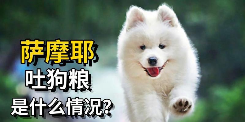 文章详情图片