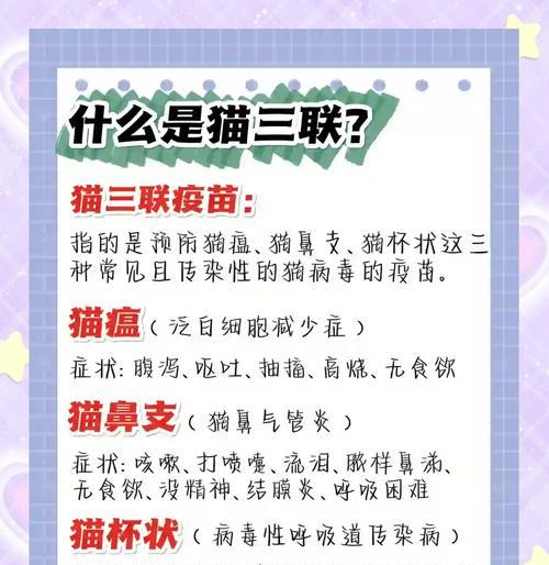 文章详情图片
