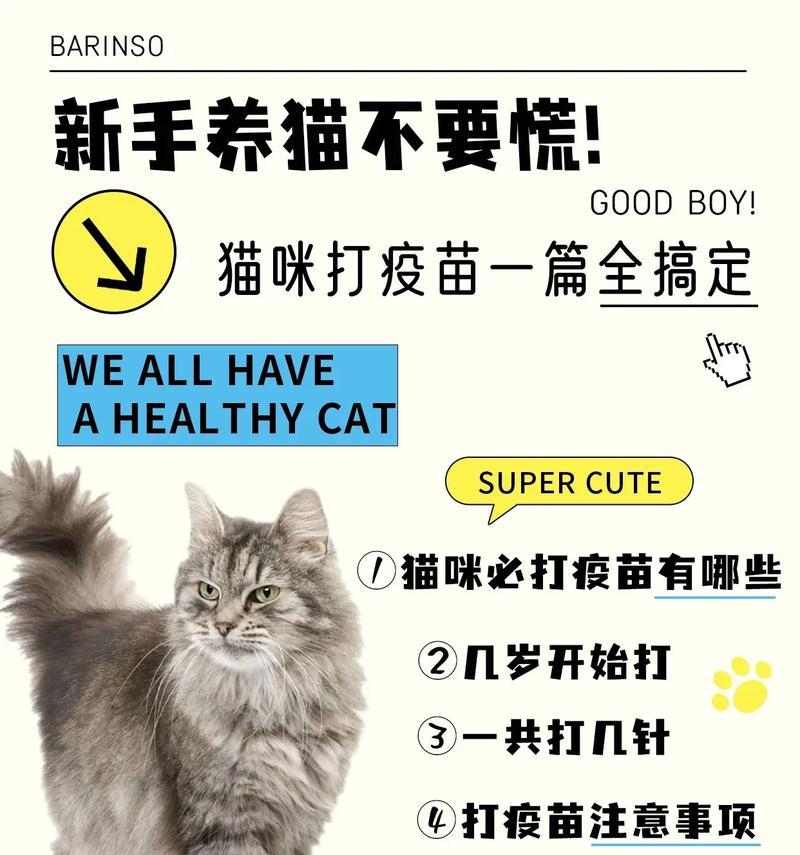 文章详情图片