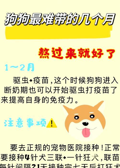 文章详情图片