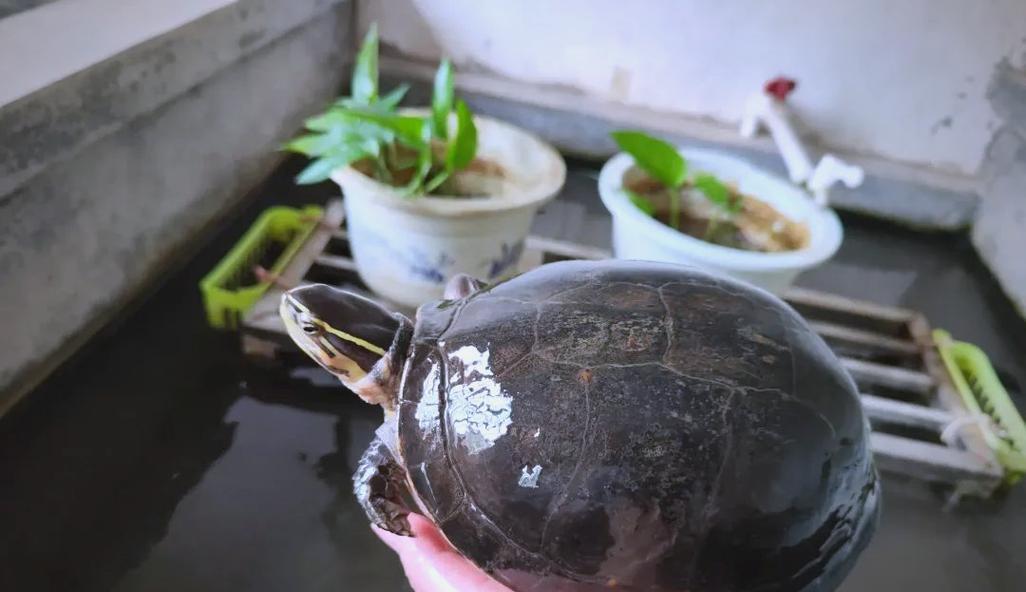 文章详情图片