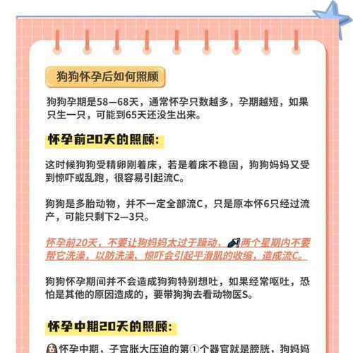 文章详情图片