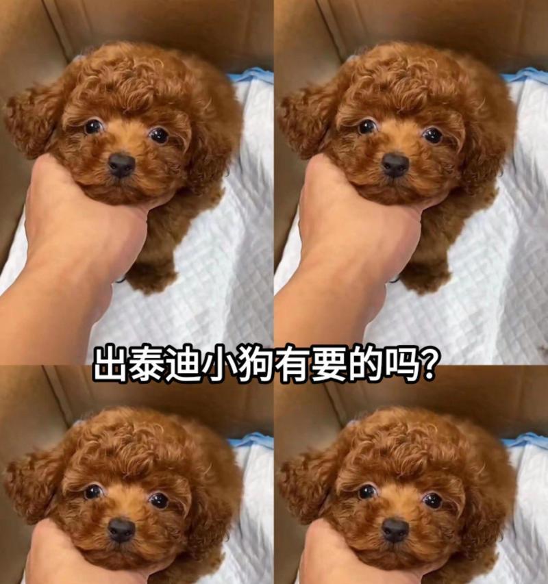 文章详情图片