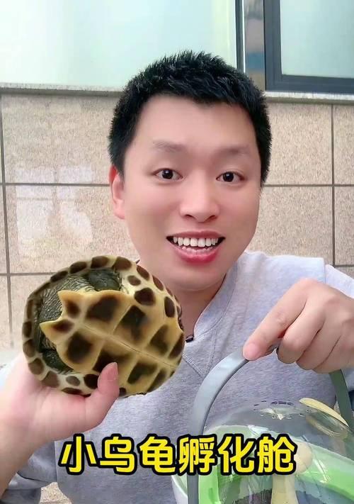 文章详情图片