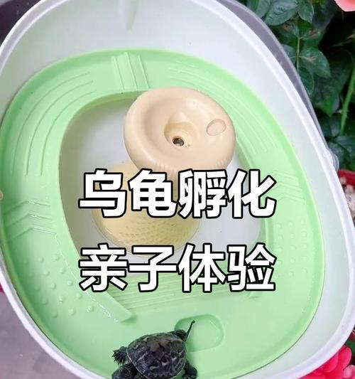 文章详情图片