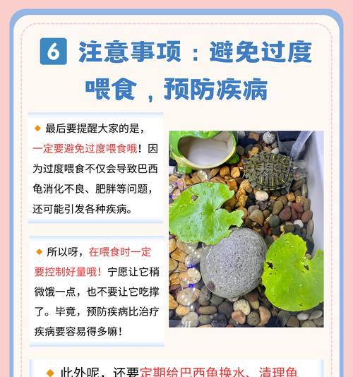 文章详情图片
