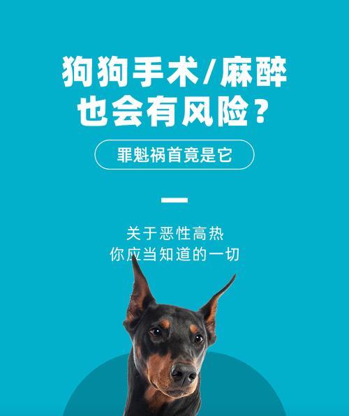 文章详情图片