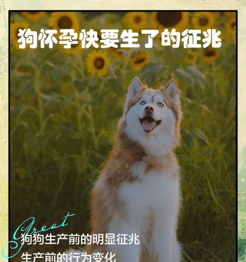 文章详情图片