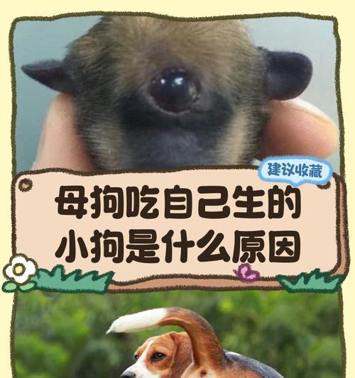 文章详情图片