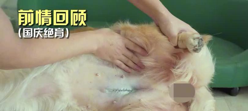 文章详情图片